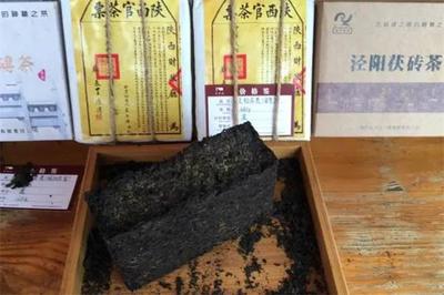 泾阳茯茶 代理与销售策略全攻略