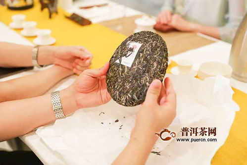 佳兆业兴海茶2020年经销商大会暨年度新品发布会 鹏城启航，共创茶叶代理与销售新篇章